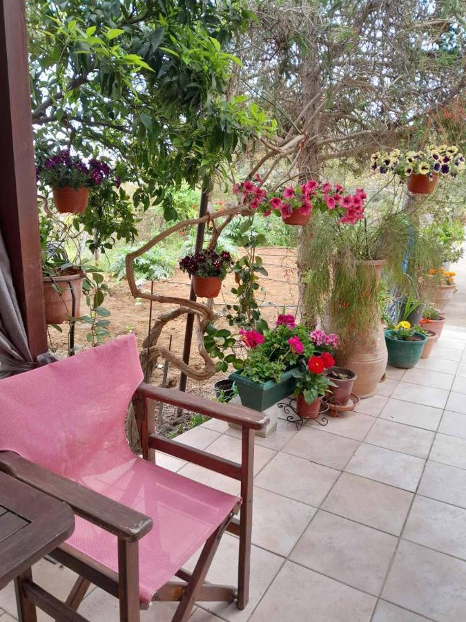 Casa Matzurana Villa Kounoupidhiana Luaran gambar